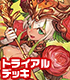 カードファイト!! ヴァンガード トライアルデッキ第12弾 Ahsha カードファイト!! ヴァンガード/カードファイト!! ヴァンガード/カードファイト!! ヴァンガード トライアルデッキ第12弾 Ahsha