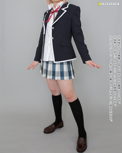 総武高等学校女子制服冬服スカート [やはり俺の青春ラブコメはまちがっ