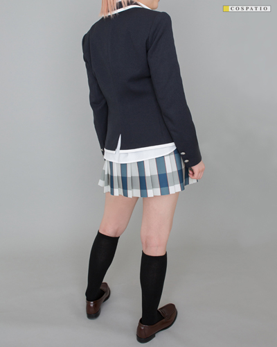 総武高等学校女子制服冬服スカート [やはり俺の青春ラブコメはまちがっ