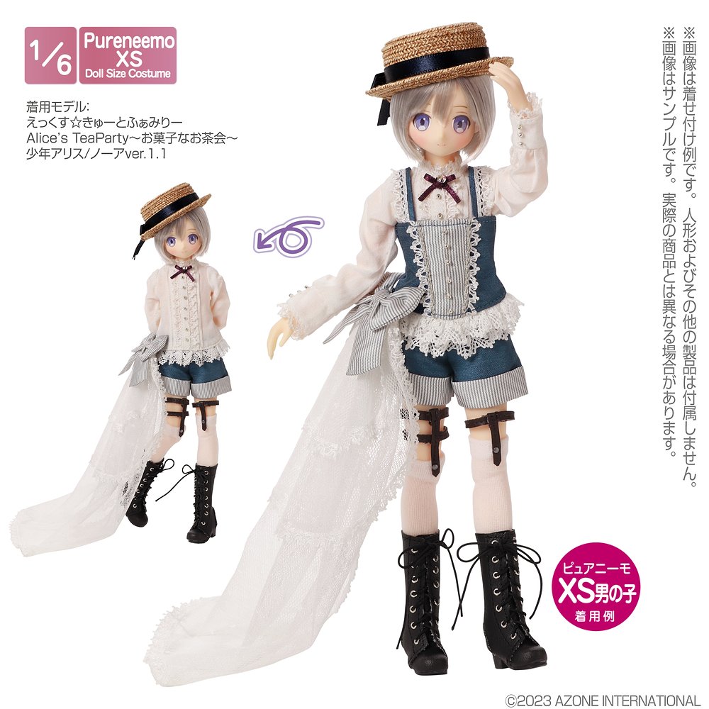 1/6サイズドール用】PNXS 少年アリスset～Alice's TeaParty