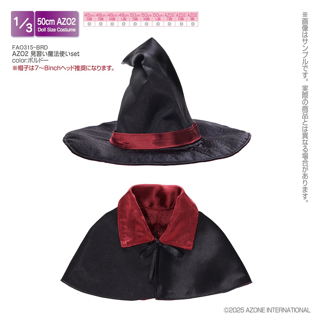 【45～50cmドール用】AZO2 見習い魔法使いset