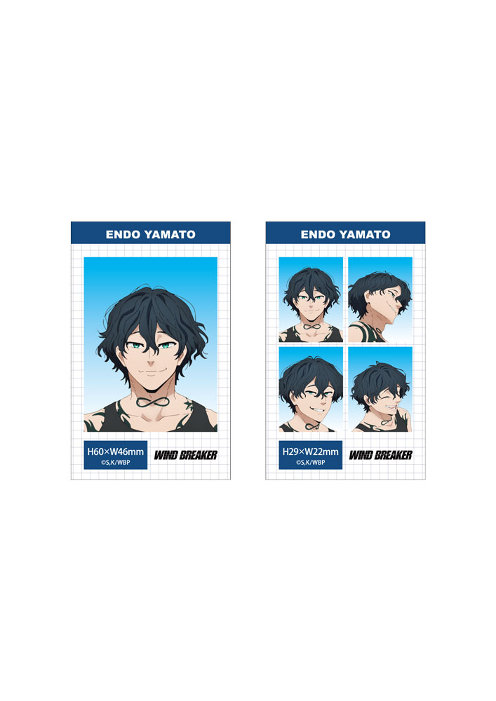 WIND BREAKER 証明写真風ブロマイドセット【棪堂哉..