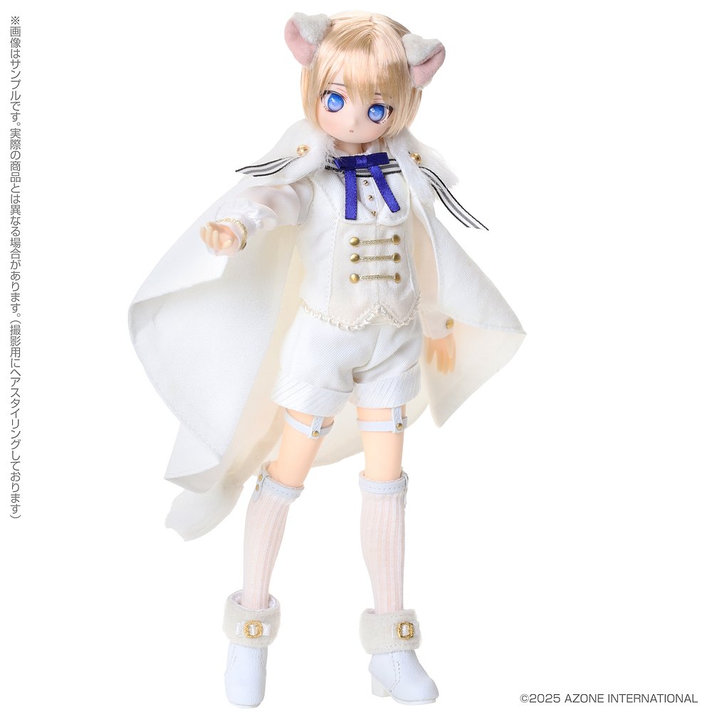 ドールライフ提案商品画像