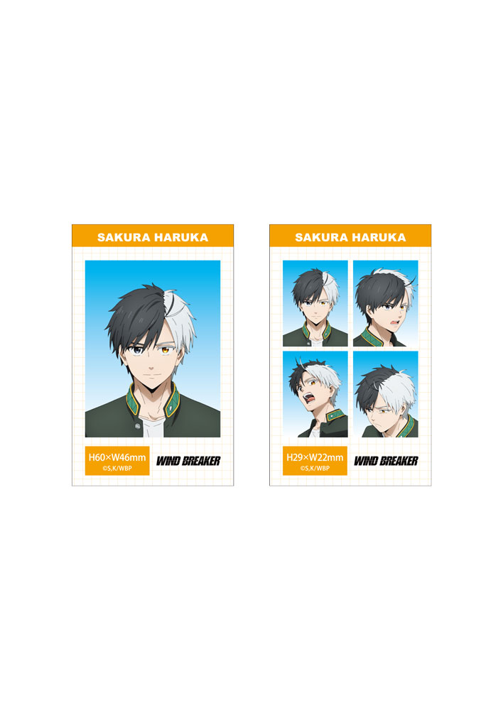 WIND BREAKER 証明写真風ブロマイドセット【桜遥】