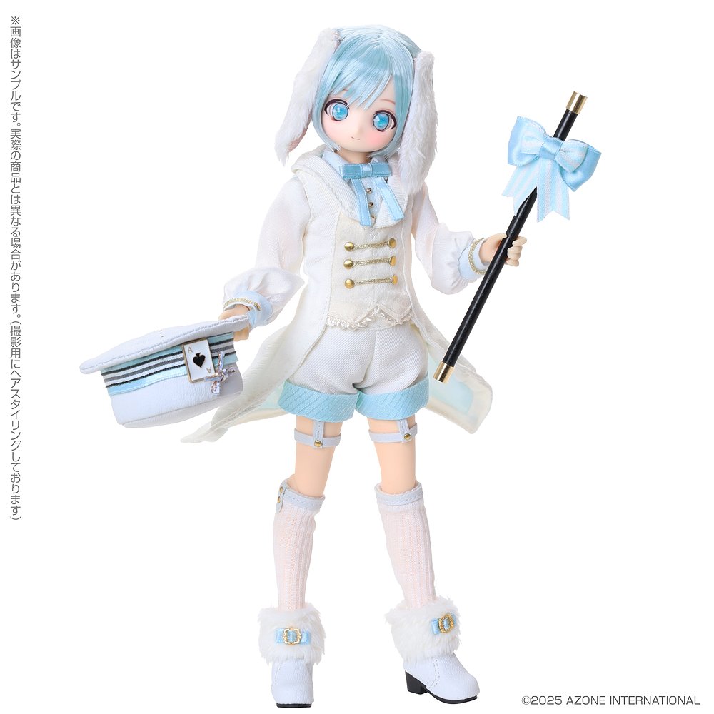 ドールライフ提案商品画像