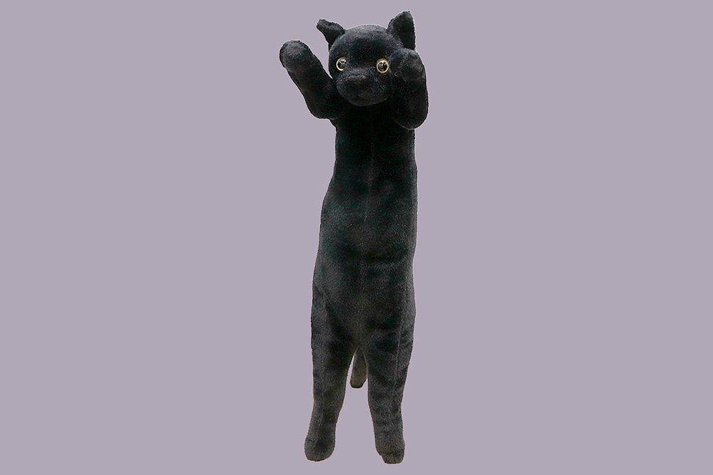 たっちぃZooにゃんこ 黒猫（くろみょん）