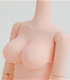 25cm女性オビツボディ （マグネット付き）