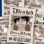 ONE PIECE/ワンピース/WANTED