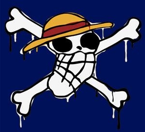 ワンピース　麦わら　ルフィ海賊団　海賊旗　フラッグ