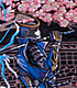 戦国BASARA スカジャン 伊達政宗 戦国BASARA/戦国BASARA/戦国BASARA スカジャン 伊達政宗