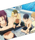 Free!/Free!/Free! アクリルパスケース A