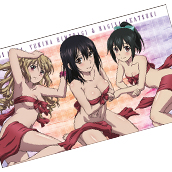 ストライク・ザ・ブラッド ビッグタオル