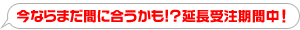 今ならまだ間に合うかも!?延長受注期間中！