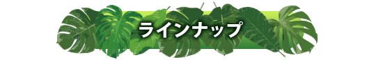 ラインナップ